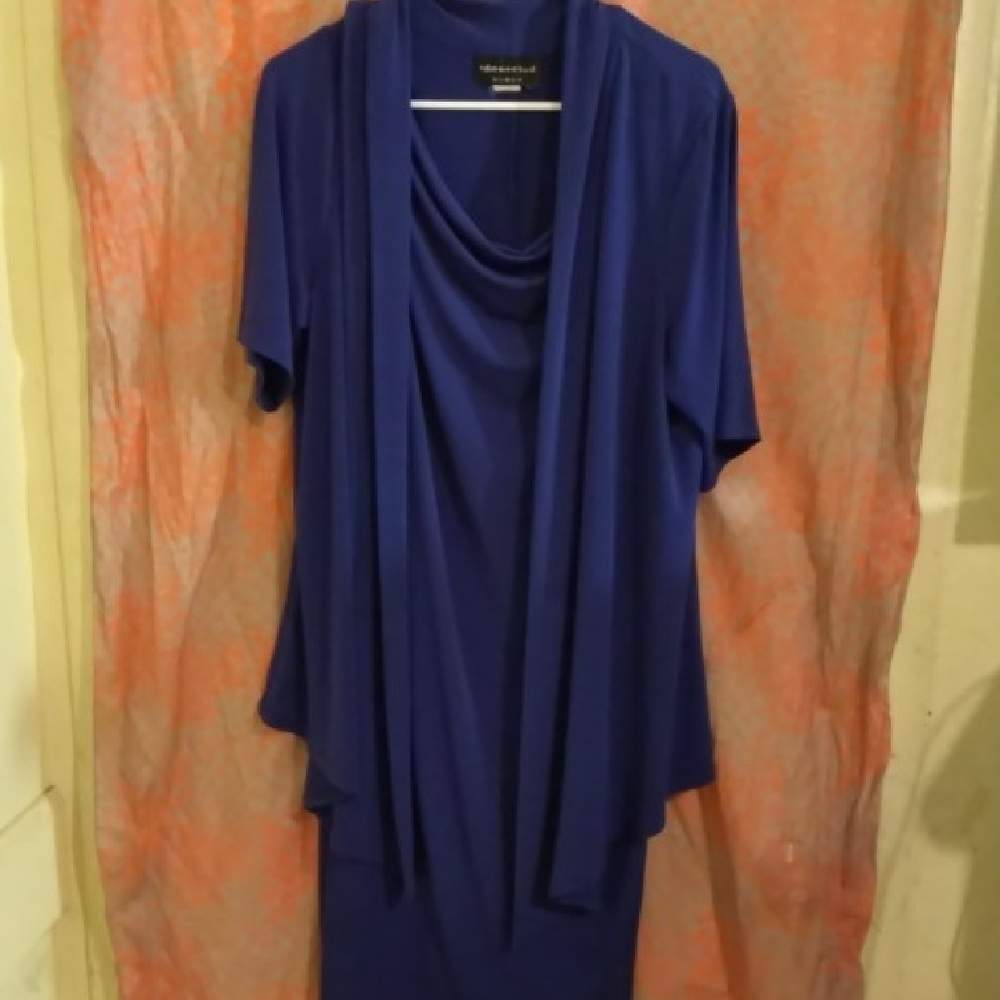 Alex Evenings Blue Sheath Dress with Cowl Neck